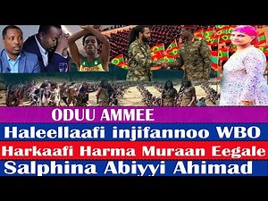 Haleellaafi Injifannoo WBO...Harka Muraan Deebi'ee Eegale...Salphina Abiyyi Ahimad..