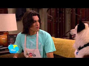 Hund mit Blog - Szene aus Episode # 14 - Ein Job für Tyler - Stachelschwein - Disney Channel