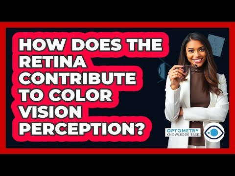 How does the retina contribute to color vision perception?