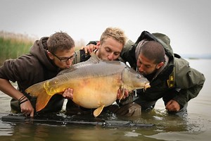 67K views · 1.1K reactions | MONSTER CARP IS BACK ON TUESDAY! Tune in...