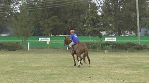 2.8K views · 49 reactions | This video finishes off the series with...