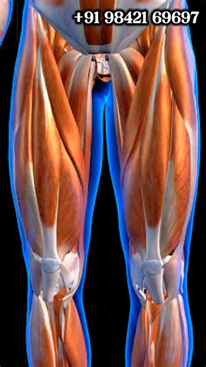 SUN MULTI SPECIALITY HOSPITAL on Instagram: "Lower Limb Weakness? Simple Strengthening Exercises . Lower Limb Weakness? Try these Simple Strengthening Exercises at Home! Leg weakness relief with easy physiotherapy exercises for knee pain, ankle stability, and walking improvement. Perfect for seniors, stroke recovery, or post-injury rehab. Do these lower limb strength exercises daily: seated leg lifts, wall sits, calf raises. No equipment needed! கால்கள் பலவீனம்? Lower limb strengthening exercise