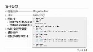笨办法学Linux | Linux常见文件类型