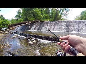 CREEK Fishing for SNAKEHEAD with LIVE Minnows