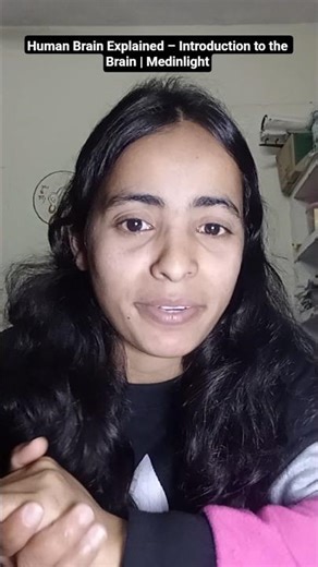 Human Brain Explained – Introduction to the Brain | Medinlight