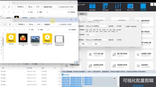 19 视频格式转换唐易智能批量剪辑|自动批量剪辑|带货批量剪辑|不重复混剪