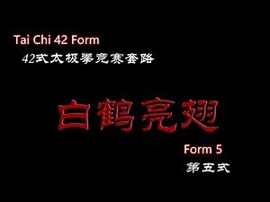 TAI CHI 42 FORM (Form 5） | 42式太极拳分解教学（第五式）白鹤亮翅White crane spreads its wings