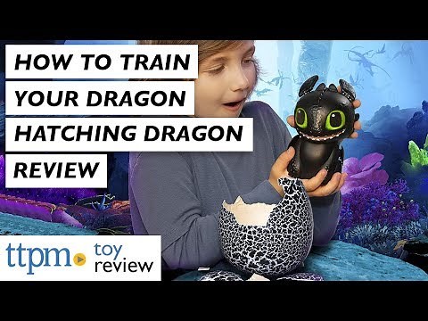 How to Train Your Dragon The Hidden World Hatching Dragon from Spin Master