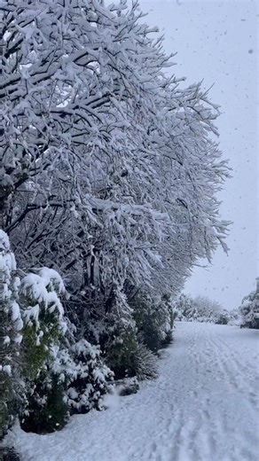 SNOW IN SPRINGTIME — NEW ZEALAND ❄️🌿 Yesterday, news outlets reported that New Zealand’s South Island woke up blanketed in fresh snow — roads covered in white, mountains dusted like powdered sugar, and locals joking that spring “forgot to show up.” And instantly, I was brought back to our own springtime trip in 2023. Just like that — we stepped out of our accommodation expecting sunlight… but instead, we found snow falling gently onto the quiet road. White. Silent. Magical. It didn’t feel like 