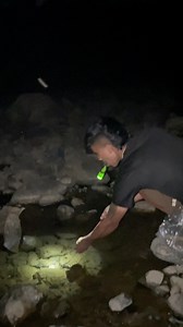 Night Fish Hunting #fisingminivlog #mausuminivlogs #viralnepalivlog #nepalifishingvlog #fishing | Mausu Vlogs