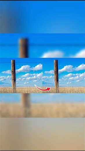 How to Remove Fence from Background in Photoshop 2026 |Step-by-Step #shorts#photoshop