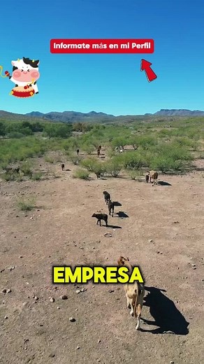 #informate mas en mi perfil #vacas #eeuu #usajobs