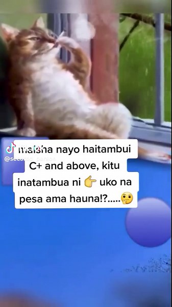 Deep State ✌️ (@secured_account)’s videos with Abaana Topido - TOPIDO