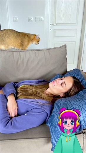 My Cat vs A Fly… Chaos 😹🪰 #FunnyCat