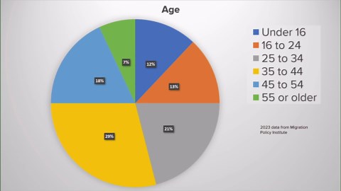 New data details Mecklenburg County's immigrant population living here illegally