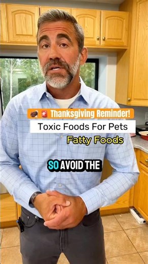 Stop sharing your plate before your dog gets pancreatitis #doghealth #petfood #shorts