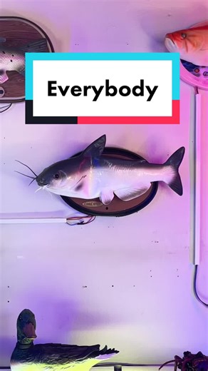 Exploring Backstreet Boys Memes with Kevin | Arduino Reaction Video