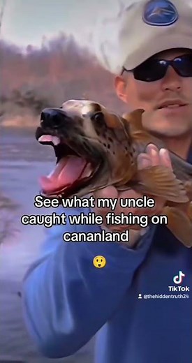 Rare Dogfish: Unbelievable Discoveries