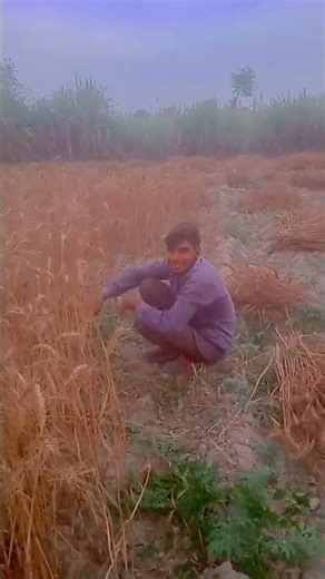 Flip a Coin, Win $30,000youtube me bank account kaise jode #googleadsense #adsense #youtube #shorts