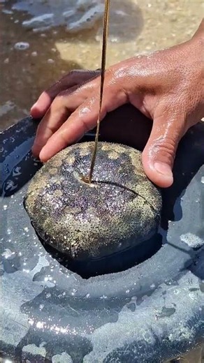 Cracking Open a Mysterious Sea Rock Reveals a Hidden Surprise! 😱🌊 #shorts
