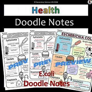 Escherichia coli | E. coli Doodle Notes | Health | FACS