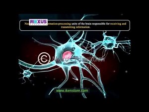 3D Medical Animation - Central Nervous System