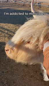 200 reactions · 17 comments | My die hard followers will remember...