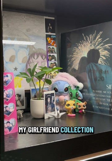 Best Girlfriend Ever: My Favorite Action Figure Collection