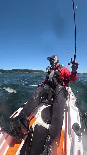 Women Camping on Reels