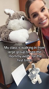 “Mommy wolf” or “mama wolf” made her entrance yesterday! I have a “wow watch wolf” in my room that visits friends that are kind, doing their best work, etc. I told them during the first week of school that wow watch wolf goes home every day and tells mama all the great things they do as a class. When mama gets the “ok” from baby (they have the hang of the classroom procedures) then shell come to the classroom! *Wolf is our school mascot*#classroomsetup #classroommanagement #classroomculture #cla