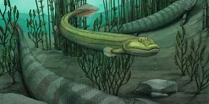 Meet Qikiqtania, a fossil fish with the good sense to stay in the water