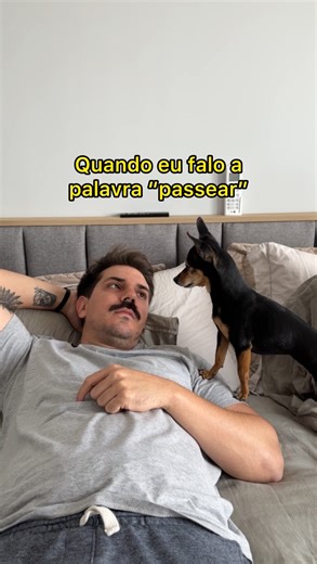 631K views · 10K reactions | Nunca prometa nada que vc não possa fazer na hora  #humor #meme #comedia #piada #pet #cachorro #cao #dog | Mada e Bica | Facebook