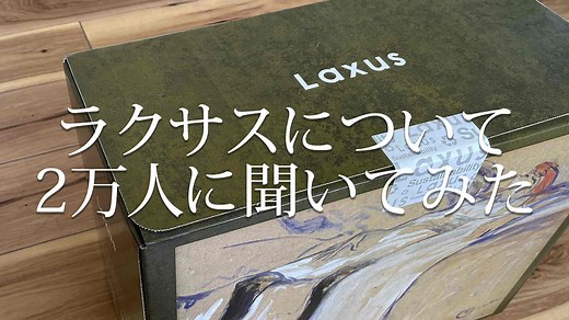 ラクサスの口コミ評判まとめ・料金・私がレンタルしたバッグ【2万人調査】｜mari-colore