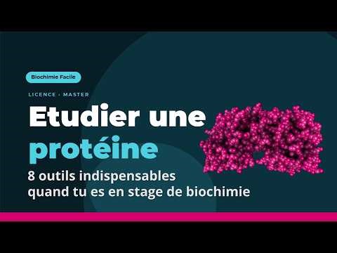 Les outils indispensables pour réussir votre stage en biochimie | Biochimie Facile