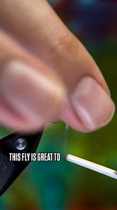 13K views · 281 reactions | “Mallard Mayfly” Recipe⤵ Recipe Hook:...