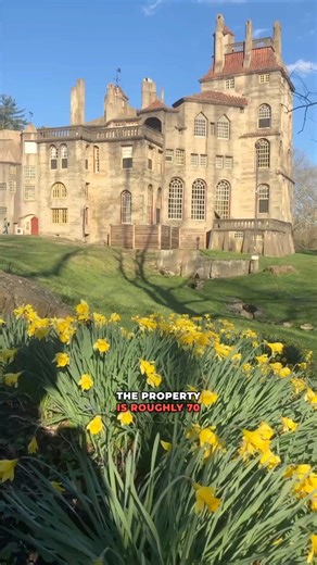 On a recent job with Brandywine Urban Forest, we visited the historic Mercer Museum and Fonthill Castle to create a forestry management plan for the trees in the formal landscape and in the natural wooded areas. Here's a brief overview of what we found and how we carried out our surveys!The biological and structural health of the trees in the formal landscape were assessed, and our recommendations included which trees should be removed, which ones needed pruning (and what type of pruning), and w