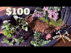 MASSIVE Indoor Box Turtle Habitat