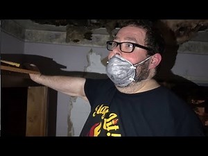 Origin Story: Exploring My Mom's Abandoned House