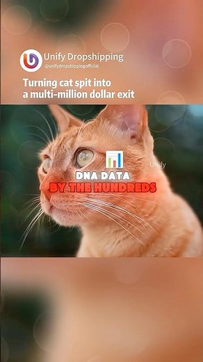 Discover cat's DNA with this simple test kit! #dropshipping #makemoneyonline #winningproducts #cat