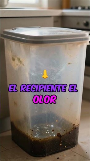 ¿Tu BASURA siempre HUELE MAL? 🗑️🤢 ¡ERROR!
