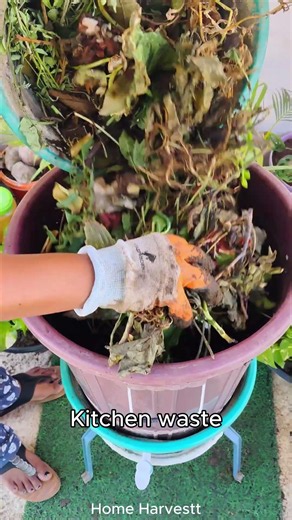 The Easiest Compost Method Ever #gardentips #diy #shorts