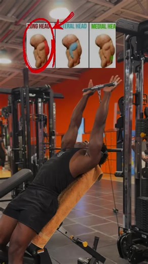 Avec un banc et la poulie, tu travailles les trois faisceaux des triceps d’une manière la plus efficace possible enregistrer la vidéo pour refaire ces exercices plus tard à toi de construire les triceps énormes. #tricep #tricepworkout #model #fit #Tutoriel