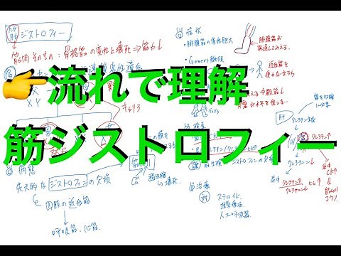 ［これでわかる］筋ジストロフィー
