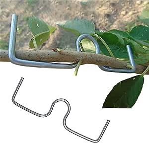 WLSANX Fruit Tree Branch Spreader 5.1inch, Tree Limb Spreader, Plant Branch Training Modelling Tool, Fruit Tree Limb Puller, Branch Bending Tool to Improve Yield, Twigs Pull Lower Tool 12PCS