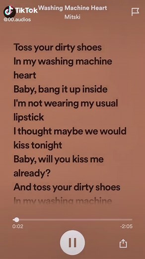 Toss Your Dirty Shoes in My Washing Machine Heart - Mitski Lyrics