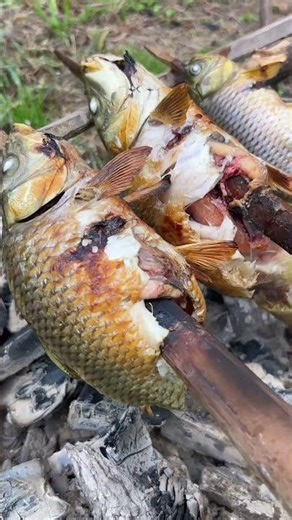 CÁ CHÉP NƯỚNG TRỘN RAU – HƯƠNG VỊ NÚI RỪNG QUÝ CHÂU