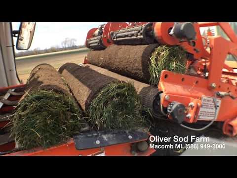 Oliver Sod Farm / Macomb Michigan