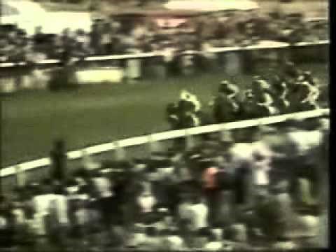 Epsom Derby 1977 and the great Lester Piggott on The Minstrel...