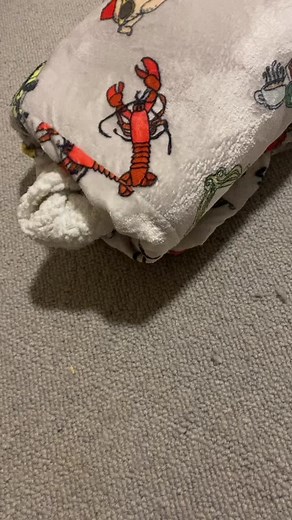 Blanket hoodie on TikTok