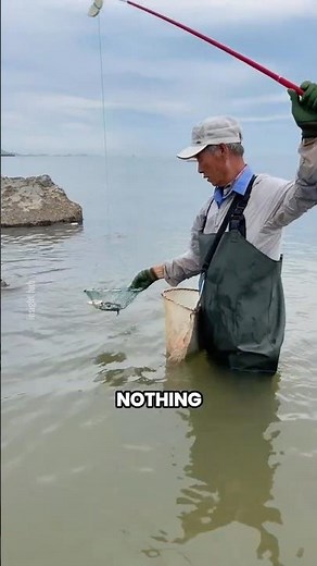 Simple Crab Trap That Catches Crabs in Just Minutes! 🦀
